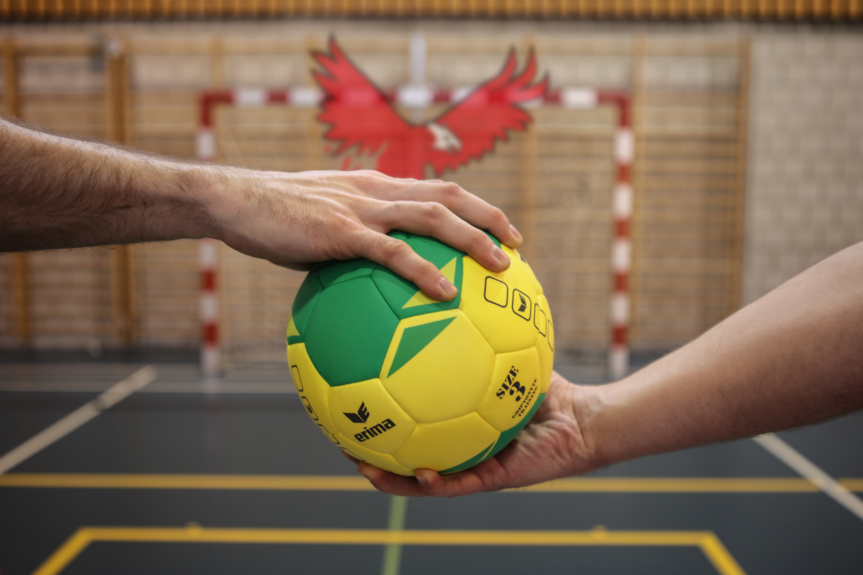Joueur de handball tenant un ballon lors d’un entraînement du Club Jurassien de Handball
